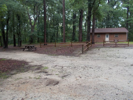 camper cabin and our site