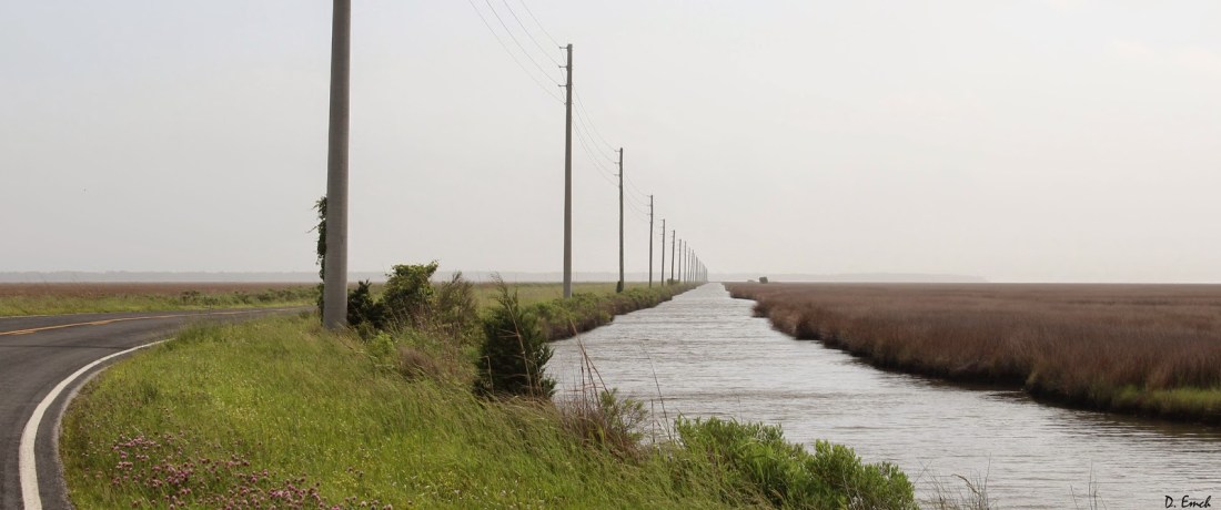 roads with water.jpg
