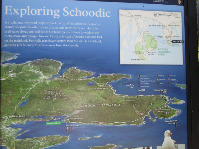 exploring schoodic