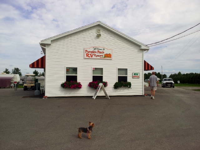 Image result for pictures pumpkin patch rv