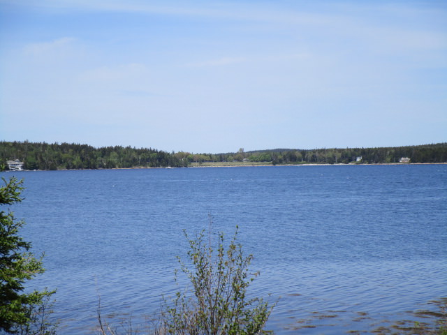 frazer point 4