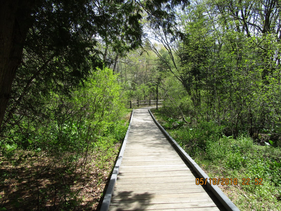 Minute Man NHP Walk Way to Visitor Center