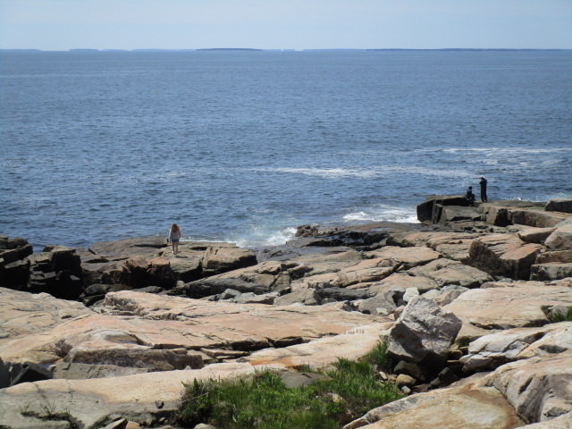 schoodic point 1