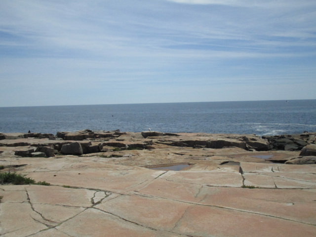schoodic point 4