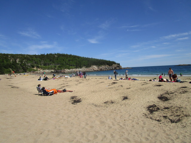 Acadia Sand Beach 1