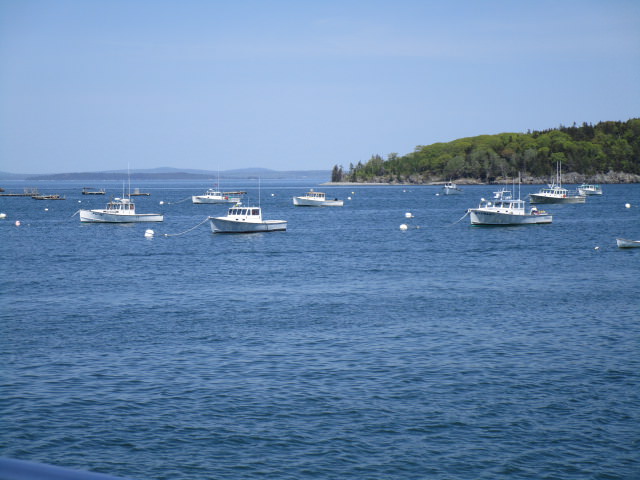 bar harbor the harbor