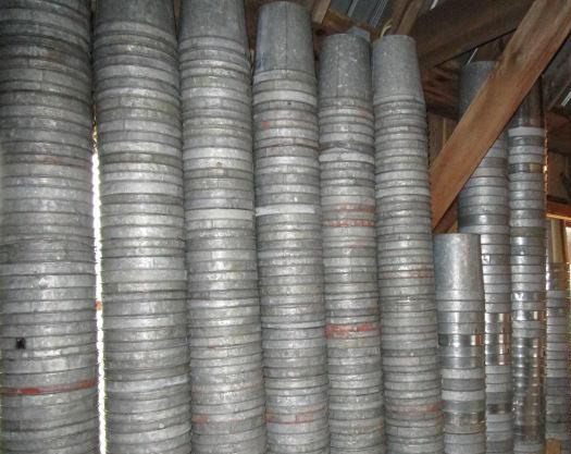 braggs havesting 10 buckets used to collect sap