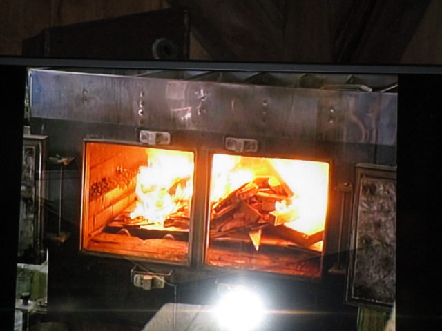 braggs havesting 5 wood fire under