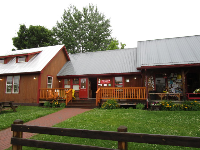 braggs wide view good