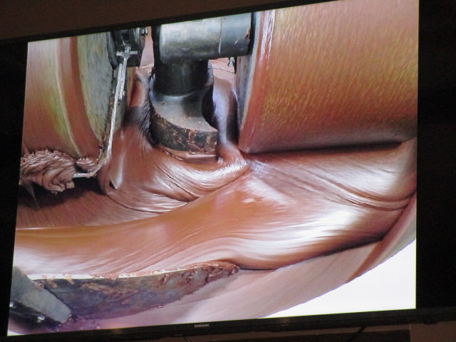 lake champ roll liquid