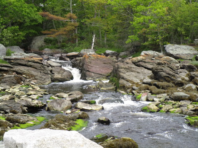 surry water fall good