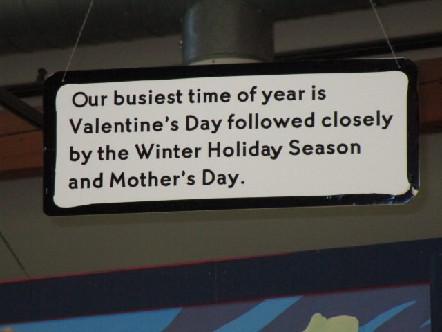 Vermont Teddy Bear tour stop 3 stuffing room busy time of year