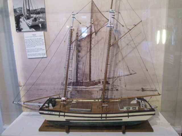 alma model of