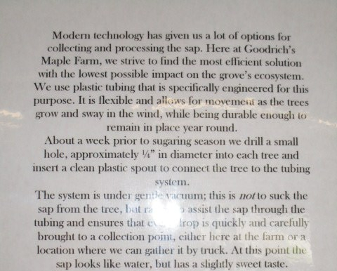 Goodrich collecting the sap