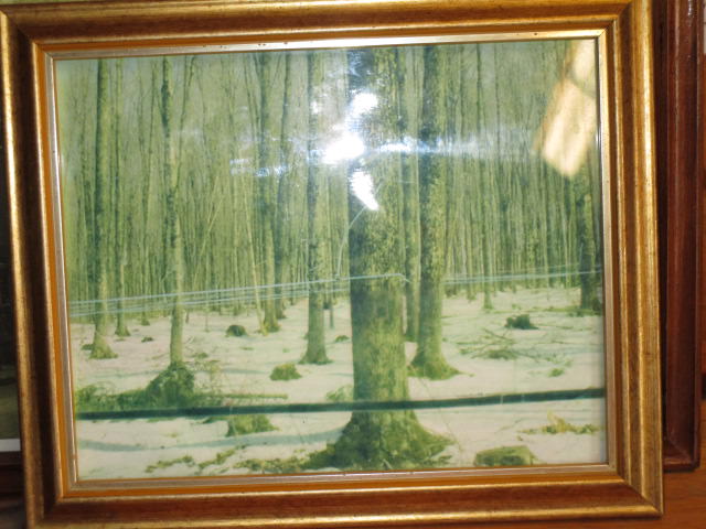 Goodrich picture of tubing tree to tree