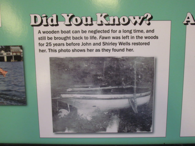 small craft building another section fawn as discovered in the woods