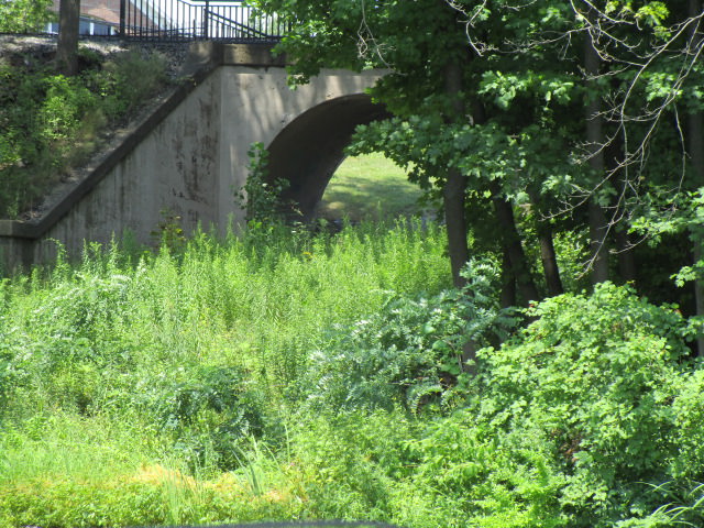Van Cleef Lake Original Road down into the flats