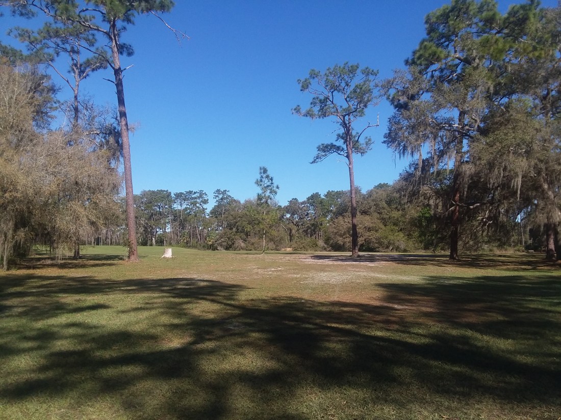 Morning has broken 2