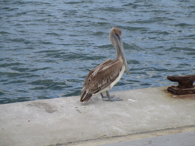 lunch 4 waiting for a handout